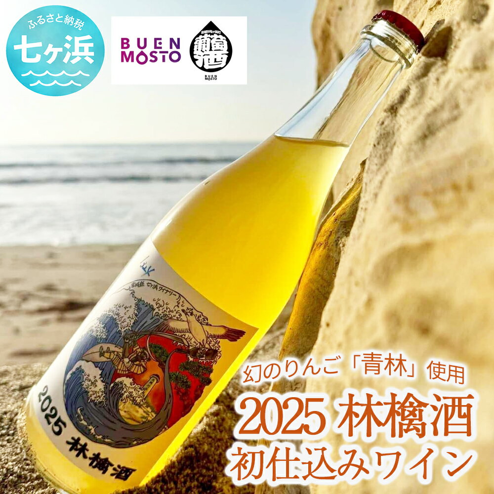 【ふるさと納税】 【数量限定】 ブエンモスト 七ヶ浜ワイナリー初仕込み 林檎酒（青林）750ml 岩手県産 幻のりんご使用 芳醇な香りと豊かな味わい アルコール7％ クラフトシードル 国産果実酒