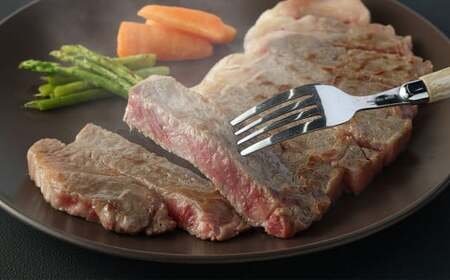 長崎和牛 サーロインステーキ 2枚 約400g 和牛 牛肉