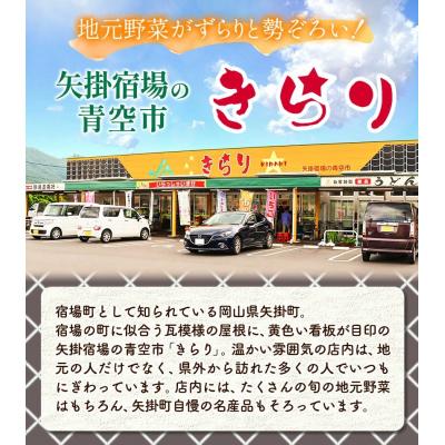 ふるさと納税 矢掛町 【6ヶ月定期便】旬の新鮮野菜詰合わせセット野菜5〜10品目《お申込み月の翌月から出荷開始》 |  | 01