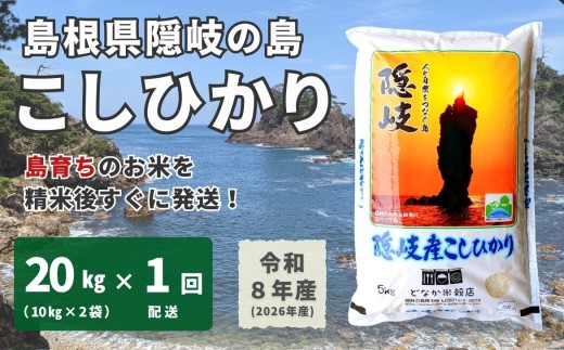 1703　【令和8年産】隠岐産こしひかり20Kg（10Kｇ×2袋）