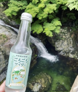 ごろごろサイダー 250ml×1箱（24本入） サイダー 【ftu01】