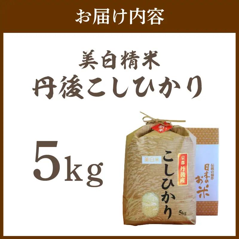 白米コシヒカリ 5kg 令和7年産コシヒカリ精米