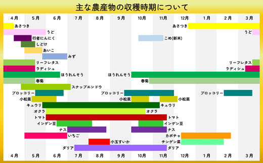 ステックキュウリ ポクポク柔らか！めんこい！約40本　90P3213【ひない渡辺農園しどけ村】