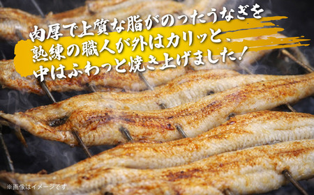 うなぎ 上州うなぎ白焼　1尾（150g以上）
