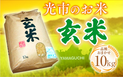 AB0101 光市のお米（玄米）10㎏