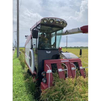 ふるさと納税 香取市 令和7年産　千葉県産コシヒカリ　精米　10kg(5kg×2袋) |  | 03
