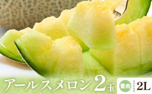 アールスメロン 青肉 2Lサイズ 2玉 石下農園 《10月中旬-11月上旬頃出荷予定》栃木県 芳賀町 果物 フルーツ メロン 国産 ギフト 贈答 【配送不可地域あり】(沖縄・離島)