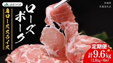 【 定期便 6ヶ月 】 JA北つくば ローズポーク 肩ロース スライス 1.6kg ( 800g × 2箱 ) [AE071ci]