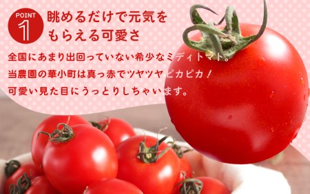 【先行予約】 有機減農薬 フルーツトマト 2kg 薄皮完熟 【2026年10月上旬以降順次発送予定】 【とまと ミディトマト 中玉トマト 野菜 やさい 新鮮 生食 アレンジ ジャム トマトソース サラ