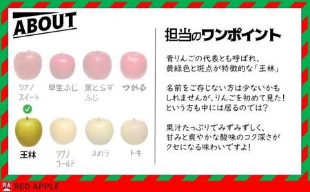 りんご 【 1月発送 】 13度糖度保証 家庭用 葉とらず ふじ ＆ 王林 約 10kg 【 弘前市産 青森りんご  果物類 林檎 リンゴ  】