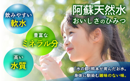 熊本 阿蘇山天然水 500ml × 24本 1ケース 天然水 水 ミネラルウォーター 保存 2年 【丸富産業株式会社】[AYDB001]