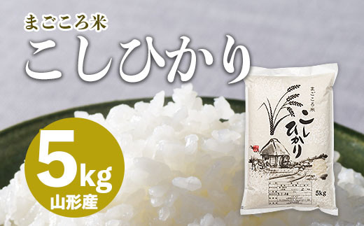 まごころ米こしひかり 5kg