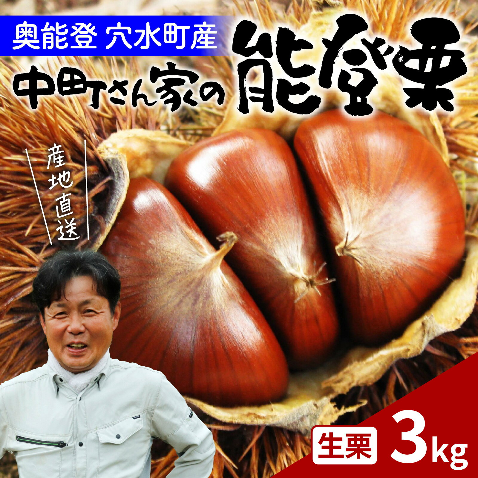 【ふるさと納税】【受付：10/16まで】中町栗園の能登栗3kg～能登の大地で育った能登栗～ / 能登半島 奥能登 くり 生栗 マロン 和栗 焼き栗 栗ごはん 焼き栗 国産 果物 送料無料