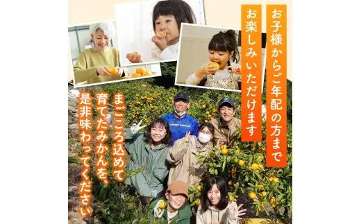家庭用 清見オレンジ 4kg / 清見 みかん 晩柑 人気 柑橘  蜜柑 フルーツ 果物 くだもの 食品 人気 送料無料 産地直送 和歌山県 由良町  ※2月下旬～3月下旬頃に順次発送予定【kzmn0