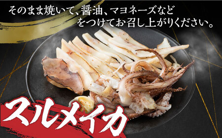 【全6回定期便】するめ いか 一夜干し セット《対馬市》【対馬地域商社】九州 長崎 海鮮[WAC025] コダワリイカ・いか こだわりイカ・いか おすすめイカ・いか おススメイカ・いか 人気イカ・いか