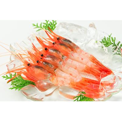 ふるさと納税 苫前町 【急速冷凍】北海道苫前産シマエビ　500g×2《数量限定》(えび・海老・北海道・小分け・生) |  | 01