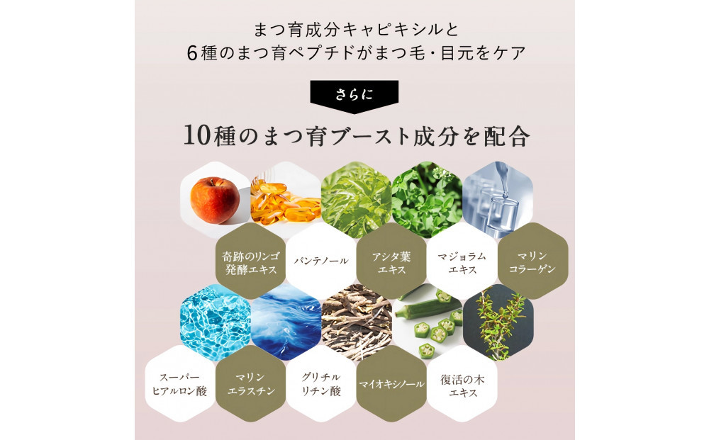 リバイブラッシュ 6g × 5本セット まつ毛美容液 日本製 まつげ美容液 人気ランキング まつ毛ケア 目元ケア