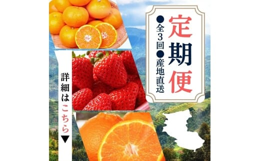 【定期便】 ●全3回● 産地直送定期便 【温州みかん・まりひめ・紀州デコ】 / みかん いちご 甘い 和歌山 ※離島配送不可 【uot050-san3A】