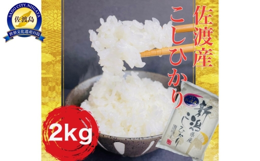佐渡産コシヒカリ 精米2kg 単一原料米 産地指定米 | 新潟県産コシヒカリ 新潟産コシヒカリ 新潟コシヒカリ 佐渡産コシヒカリ 新潟県産こしひかり 佐渡産こしひかり お米 米 こしひかり 白米 精米 ブランド米 おこめ コメ 2キロ 少量 お試し 一人暮らし ギフト にいがた さど 新潟県 佐渡市