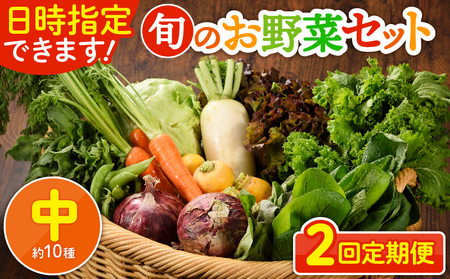 【２回定期便】日時指定OK！本日のお野菜セット （中サイズ/約10種） 2～3人用 / 新鮮野菜 定期便 産地直送 野菜定期便 季節のおまかせ定期便 野菜 野菜詰め合わせ 野菜セット 有機栽培 野菜 果物 きのこ類 サラダ 野菜 やさい 定期便 2ヵ月 送料無料 【オーガニックのまち 宮崎県綾町】