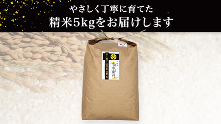 令和7年産 ＜ 4月出荷 ＞ 精米 5kg 三百年 続く農家 の 有機特別栽培米 コシヒカリ