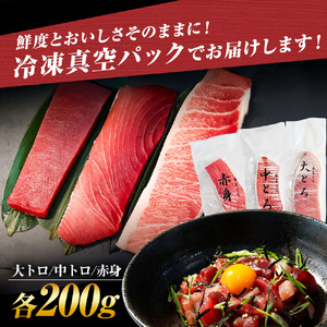 本マグロ 大 中トロ 赤身 200g セット | 土佐市 本マグロ BQAA039