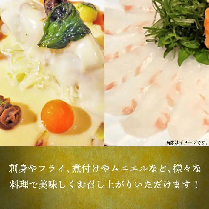 壱岐産 ヒラメフィレ 450gから500g [JDT007]