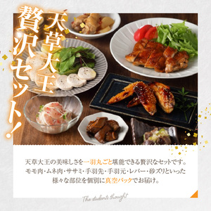 S168-010_天草大王一羽セット