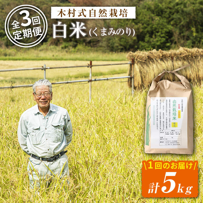 【ふるさと納税】【 新米先行予約 】2025年10月より発送開始【3回定期便】【木村式自然栽培】 白米 くまみのり 5kg ＜ハマソウファーム＞ [CBR015] 米 お米 ご飯 ごはん 新鮮 ふっくら おいしい