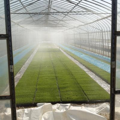 ふるさと納税 三条市 すのこタン。米 2kg 新潟県三条市産 コシヒカリ 非BLコシヒカリ 令和7年産 【010S423】 |  | 01