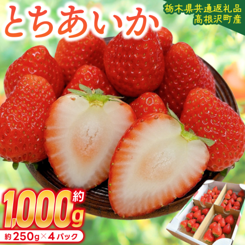 【順次発送】栃木県産 とちあいか 合計1,000g (250g以上×4パック) 農家直送 家庭用 和饗エコファーム【栃木県共通返礼品/高根沢町産】｜栃木県 ふるさと納税 いちご イチゴ 苺 果物 フルーツ とちあいか 旬 (DW001)