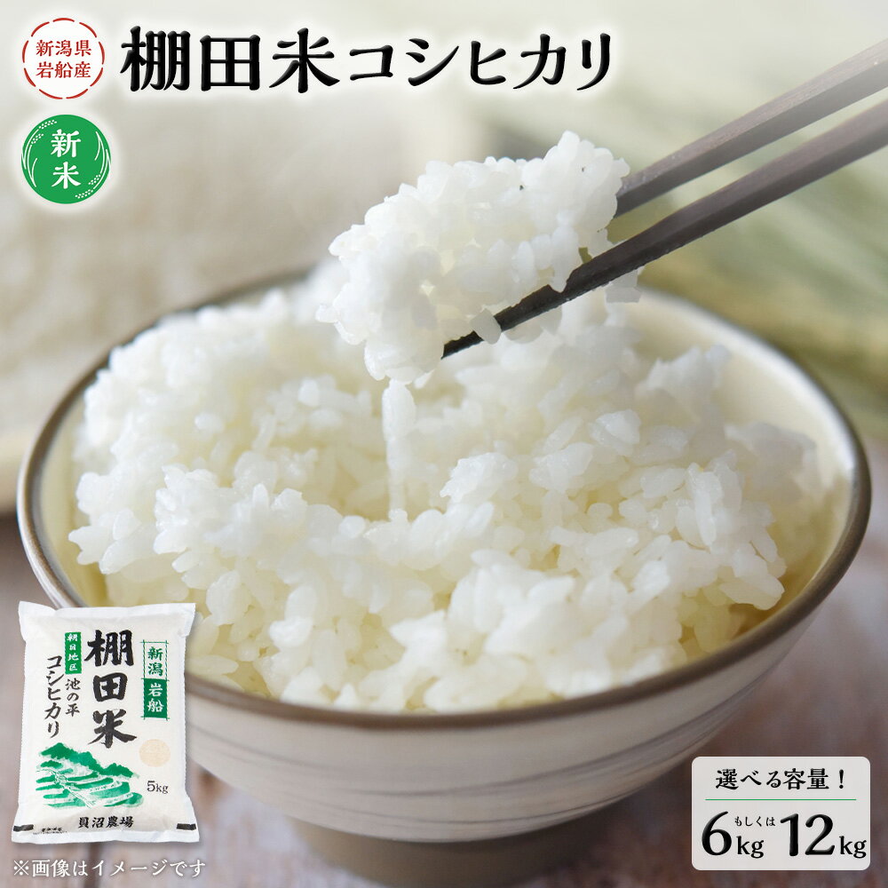 【ふるさと納税】【新米受付・令和7年産米】【選べる容量】 新潟県村上市岩船産 棚田米 コシヒカリ 6kg もしくは 12kg お米 精米 白米 ご飯 ごはん 村上市 NA4184 NB4107