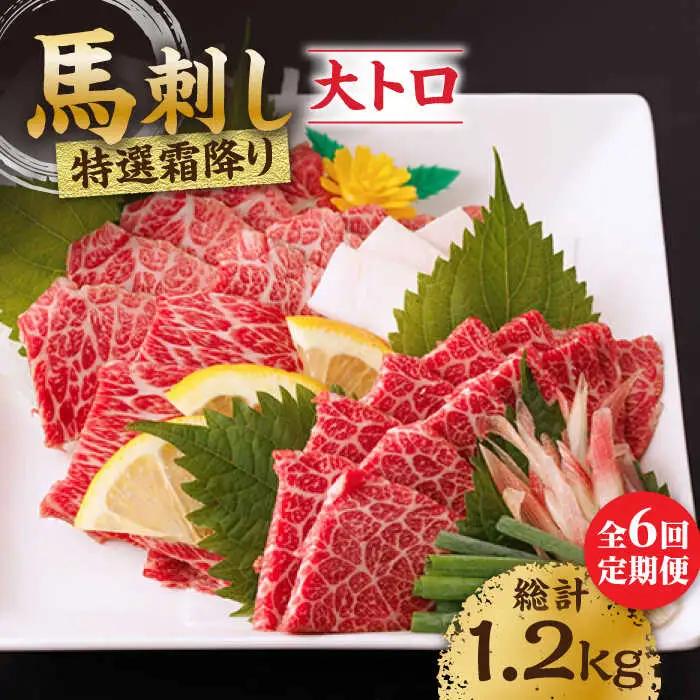 【6回定期便】特選霜降り馬刺し（大トロ）計200g（2pc）【馬刺しの郷 民守】 熊本県産 九州 冷凍 特選 大トロ [ZBL072]