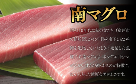 厳選天然本まぐろ中トロ２柵　と　厳選天然南まぐろ２柵 食べ比べ 合計800ｇ まぐろ マグロ 鮪 本マグロ 本まぐろ 天然 魚 海鮮 魚介 比較