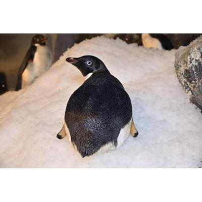 ふるさと納税 名古屋市 名古屋港水族館オリジナル御朱印帳(水族館大人入館券付き) |  | 01