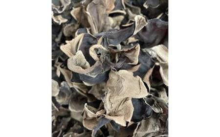 【特選】＜西会津産＞乾燥きくらげ中セット F4D-0227