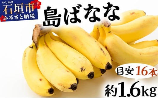 【先行予約 2026年5～10月順次発送】バナナ好きに届けたい！！届いてすぐ食べられる、もっちり食感がやみつきの希少な国産『プレミアム島ばなな』を大容量でお届け！！1.6kg(約16本) 【2026年
