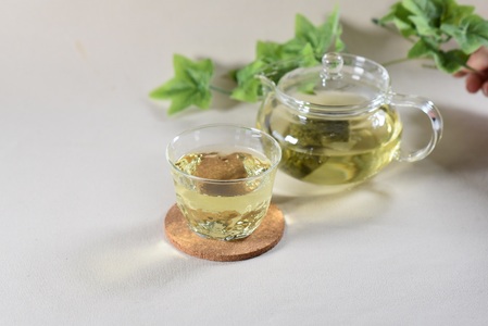 ＜everday 水出し茶 1袋（Lサイズ）＞ 有機緑茶 お茶 茶葉 tea 緑茶 製茶 水出し アイス ティーバッグ マグボトル お手軽 小分け 飲料類 水分補給 国産 宮崎県産 九州産 スポーツ 