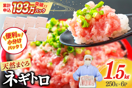 【ZIP!で紹介】ネギトロ 250g×6p 計1.5kg 小分け パック [マルハニチロオーシャン 静岡県 吉田町 22424374]