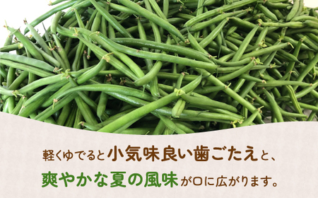 【2026.7月以降順次出荷】さやいんげん 2kg バラ詰め サイズ混合 北海道 豊浦町