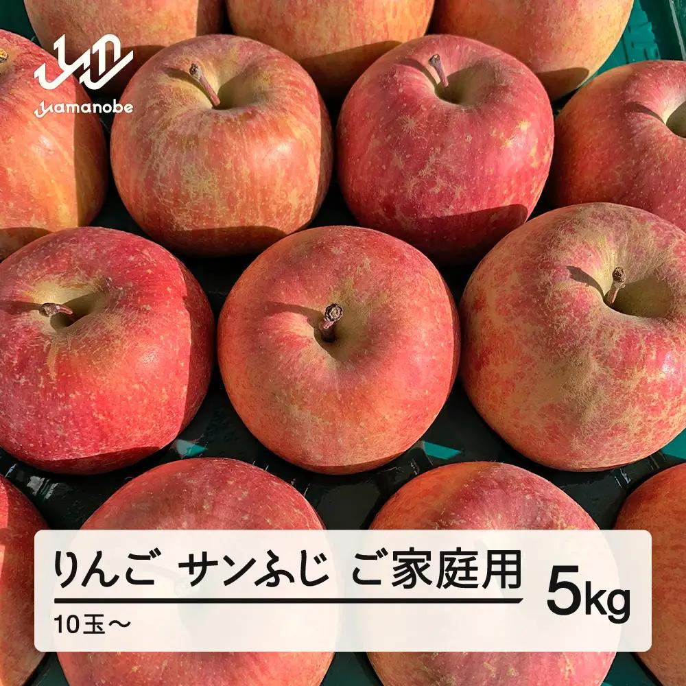 りんご サンふじ 約5kg ご家庭用 りんご
