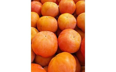 【ご家庭用わけあり】和歌山秋の味覚　富有柿　約７．５ｋｇ「2025年11月上旬頃～12月上旬頃発送予定」【UT47】【Z015-uot719】
