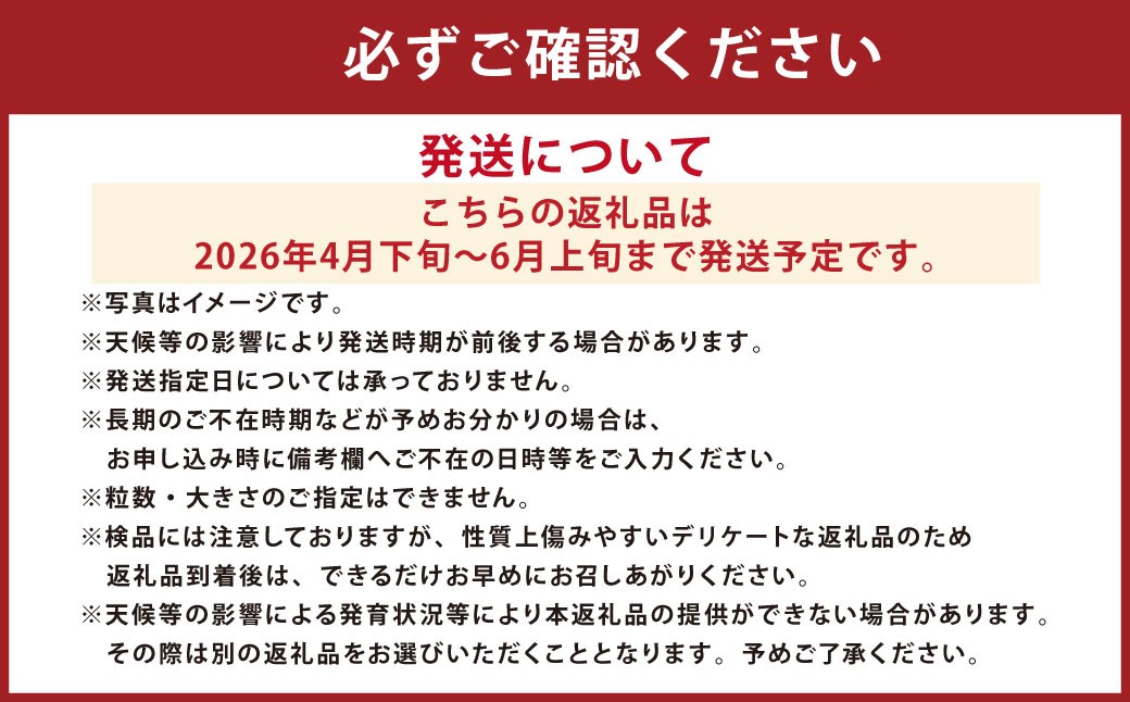 まるで火の国くまもとの太陽のような大玉スイカ1玉（熊本県産）