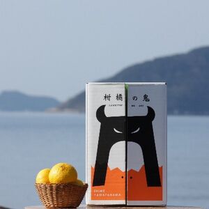 八幡浜産・はるか10kg【訳あり】【C56-42】【配送不可地域：離島】【1479306】
