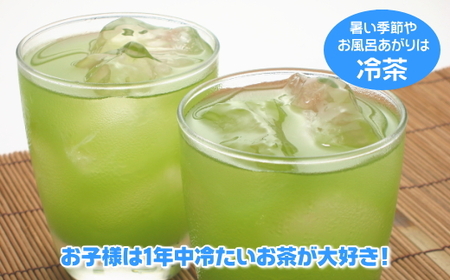 038-2 ホットもアイスも美味しく作れる♩緑茶ティーバッグ合計200個