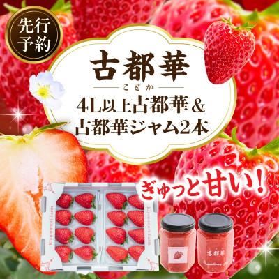 ふるさと納税 生駒市 【2026年2月〜3月順次発送】高級いちご「古都華」4L以上2パック&amp;古都華ジャム2個