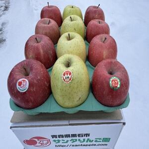サンふじ＆王林　家庭用　3キロ　クリスマスカラーの詰合せをサンタりんご園よりお届け【1697743】