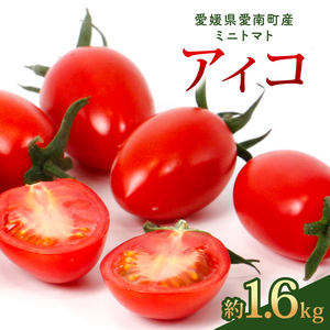 アイコ 約1.6kg 大瀧農園 トマト 完熟トマト 野菜 産地 直送 人気 国産 愛媛県 愛南町 発送期間：2026年3月1日～7月頃まで（※なくなり次第終了）