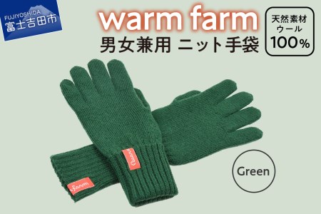 手袋 光吸収発熱ウール 「 ウォームファーム　ニット手袋 」 グリーン 暖かい ウール 手袋 発熱素材 レディース メンズ 秋 冬