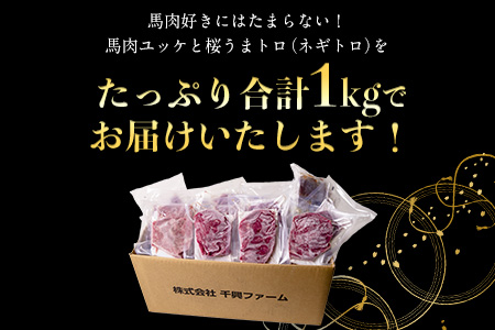 赤身ユッケ桜うまトロセット 計1kg 1000g ユッケ 桜うまトロ(ネギトロ) 千興ファーム 馬肉 冷凍 《60日以内に出荷予定(土日祝除く)》 新鮮 さばきたて 真空パック 肉 熊本県御船町 馬刺